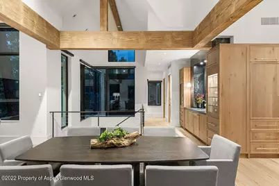 709 W Hallam Street, Aspen, CO 81611 - Photo 9