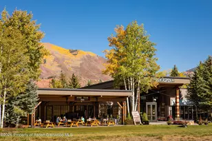38750 Hwy 82, Aspen, CO 81611 - Photo 15