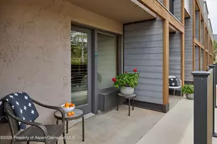 38750 Hwy 82, Aspen, CO 81611 - Photo 9