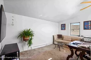 1150 Co Rd 119, Glenwood Springs, CO 81601 - Photo 15