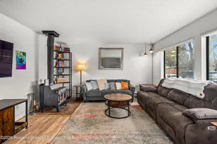 873 Colorado Ave, Carbondale, CO 81623 - Photo 7