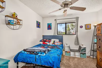 873 Colorado Avenue, Carbondale, CO 81623 - Photo 15