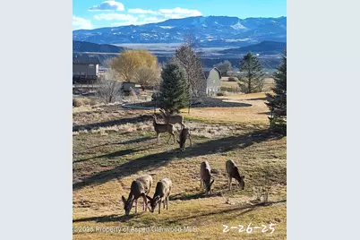 265 S Meadow Drive, Rifle, CO 81650 - Photo 7