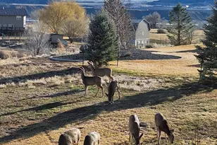 265 S Meadow Dr, Rifle, CO 81650 - Photo 7
