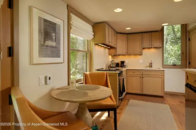 99 Shady Lane, Aspen, CO 81611 - Photo 49