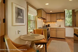 99 Shady Ln, Aspen, CO 81611 - Photo 49