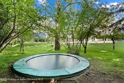 99 Shady Lane, Aspen, CO 81611 - Photo 37