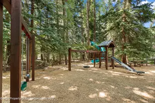 99 Shady Ln, Aspen, CO 81611 - Photo 35