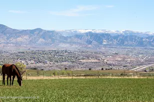 8877 Co Rd 320, Rifle, CO 81650 - Photo 27