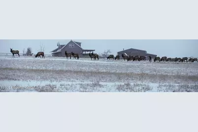 8877 County Road 320, Rifle, CO 81650 - Photo 51