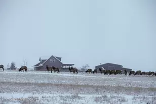 8877 Co Rd 320, Rifle, CO 81650 - Photo 51