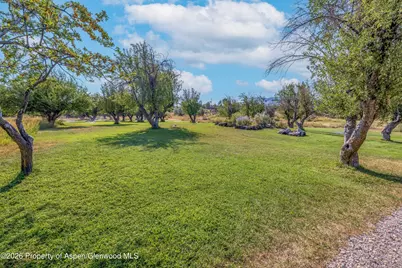 6565 County Road 309, Parachute, CO 81635 - Photo 39