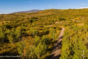 1350 Old Herron Rd, Basalt, CO 81621 - Photo 65