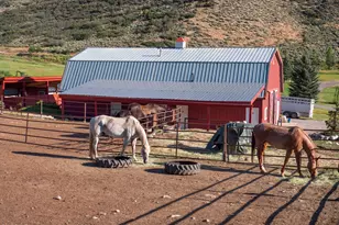 1350 Old Herron Rd, Basalt, CO 81621 - Photo 75