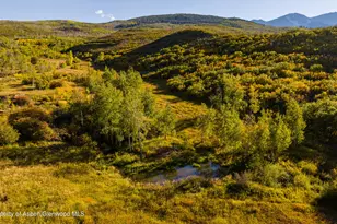 1350 Old Herron Rd, Basalt, CO 81621 - Photo 59
