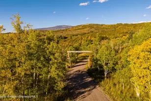 1350 Old Herron Rd, Basalt, CO 81621 - Photo 63