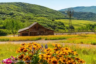 1350 Old Herron Rd, Basalt, CO 81621 - Photo 5