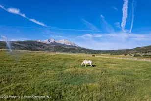 1350 Old Herron Rd, Basalt, CO 81621 - Photo 71