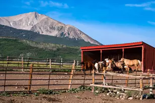 1350 Old Herron Rd, Basalt, CO 81621 - Photo 79