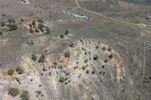 915 Ponderosa Pass (Cr 204), Craig, CO 81625 - Photo 49