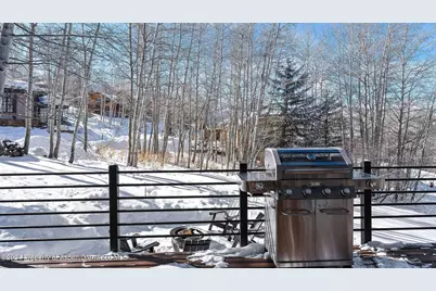 233 Stellar Lane, Snowmass Village, CO 81615 - Photo 29