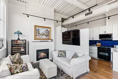 361 Robinson Street #208, Basalt, CO 81621 - Photo 3
