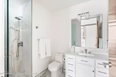 361 Robinson Street #208, Basalt, CO 81621 - Photo 9