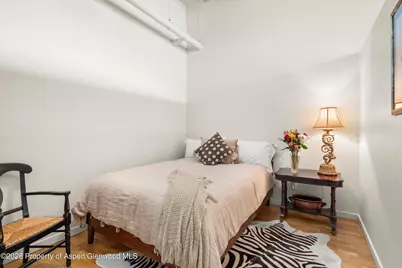 231 Robinson Street #318, Basalt, CO 81621 - Photo 11