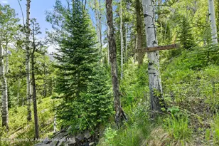 117 Deer Ln, Marble, CO 81623 - Photo 7