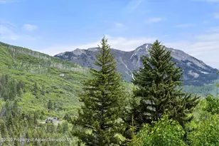 117 Deer Ln, Marble, CO 81623 - Photo 63