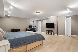165 Summit Dr, Carbondale, CO 81623 - Photo 19