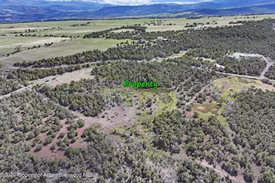 12705 55 Road, Collbran, CO 81624 - Photo 5