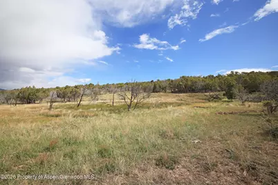 12705 55 Road, Collbran, CO 81624 - Photo 11