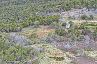 12705 55 Road, Collbran, CO 81624 - Photo 19