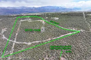 12705 55 Rd, Collbran, CO 81624 - Photo 1