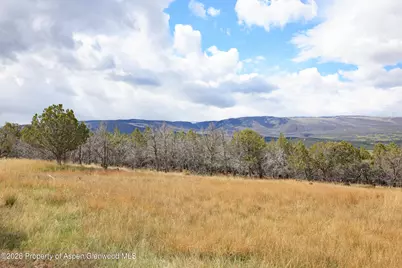 12705 55 Road, Collbran, CO 81624 - Photo 13