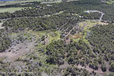12705 55 Road, Collbran, CO 81624 - Photo 29