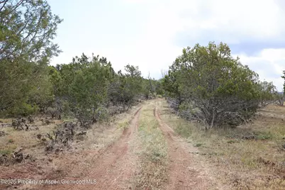 12705 55 Road, Collbran, CO 81624 - Photo 15