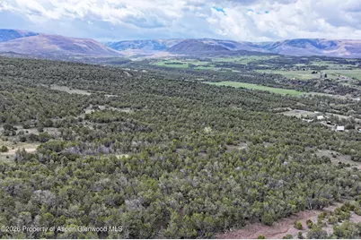 12705 55 Road, Collbran, CO 81624 - Photo 27