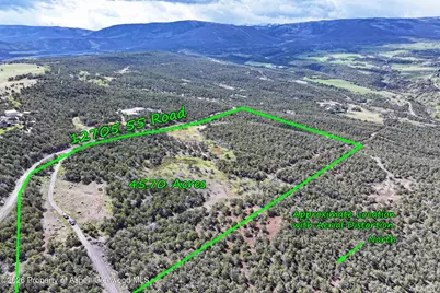 12705 55 Road, Collbran, CO 81624 - Photo 3