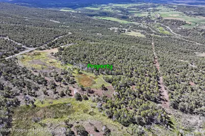 12705 55 Road, Collbran, CO 81624 - Photo 23