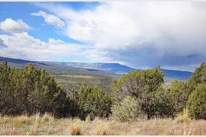 12705 55 Road, Collbran, CO 81624 - Photo 7