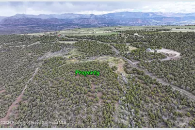 12705 55 Road, Collbran, CO 81624 - Photo 25