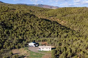 59 Co Rd 317, Rifle, CO 81650 - Photo 19