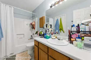 164 Current Dr, New Castle, CO 81647 - Photo 21