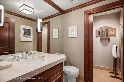 74 Pfister Drive #102, Aspen, CO 81611 - Photo 21