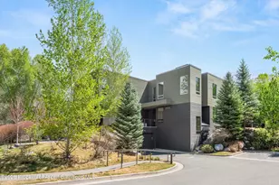 202 Evans Rd, Basalt, CO 81621 - Photo 27