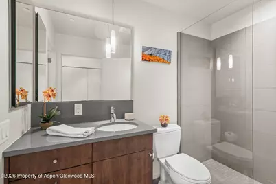 202 Evans Road #101, Basalt, CO 81621 - Photo 25