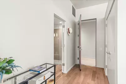 202 Evans Road #101, Basalt, CO 81621 - Photo 3