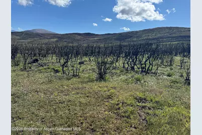 2346 County Road 40, Meeker, CO 81641 - Photo 15
